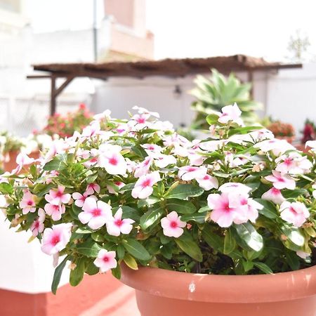 Apartamentos Veedor Cadiz Dış mekan fotoğraf