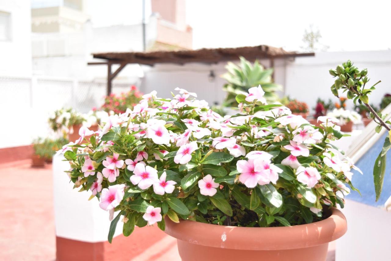 Apartamentos Veedor Cadiz Dış mekan fotoğraf