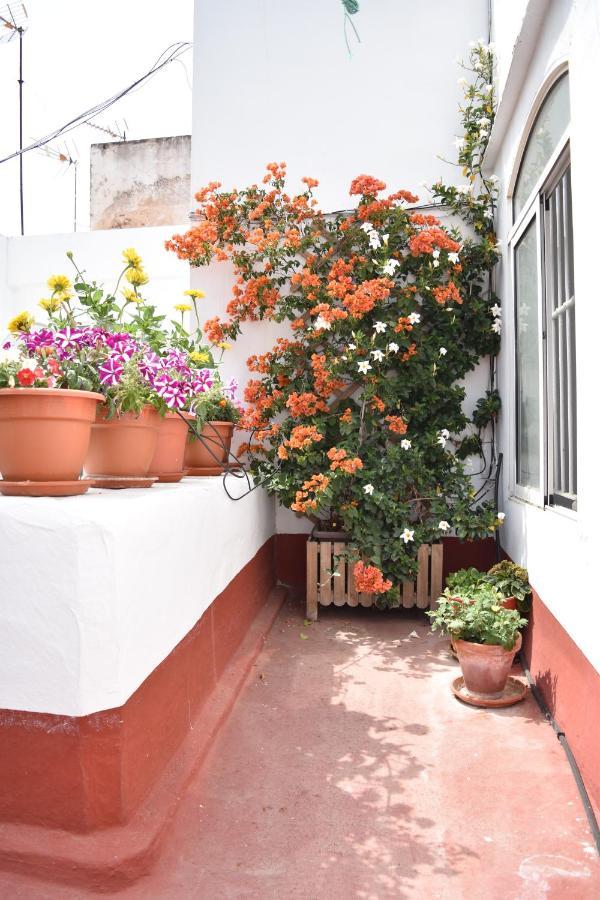 Apartamentos Veedor Cadiz Dış mekan fotoğraf